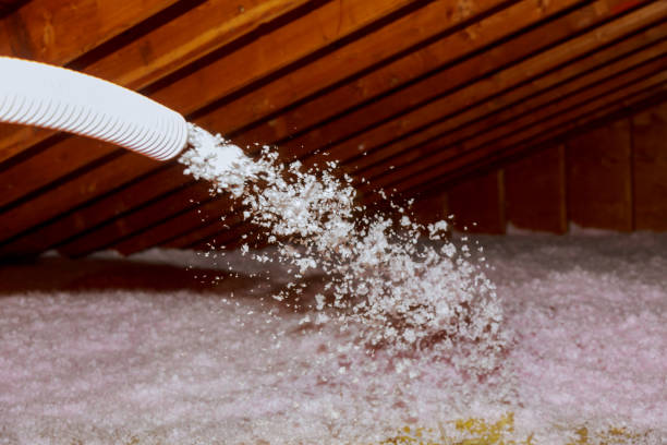 Best Commercial Insulation in Moville, IA