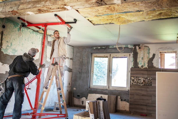 Best Insulation Installation Services in Moville, IA