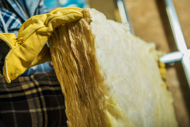  Moville, IA Insulation Contractor Pros